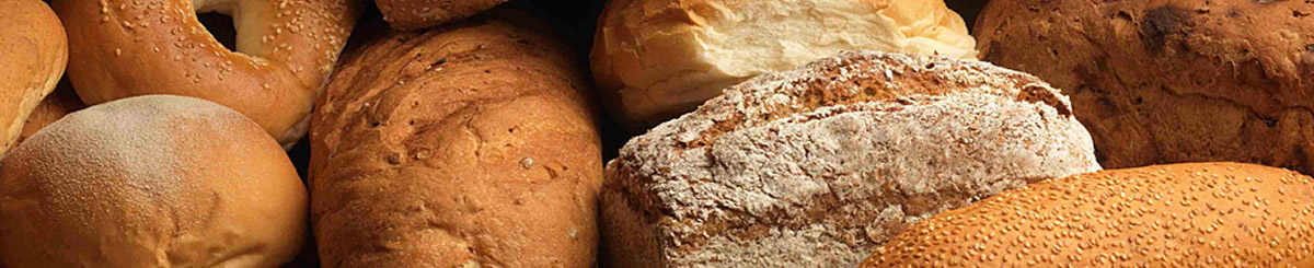 Broodjeszaken in Nederland slider